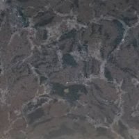 KENYAN-FOREST-1-200×200